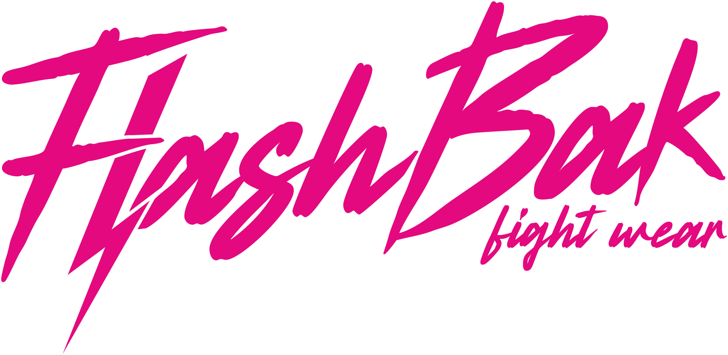 flash-bak